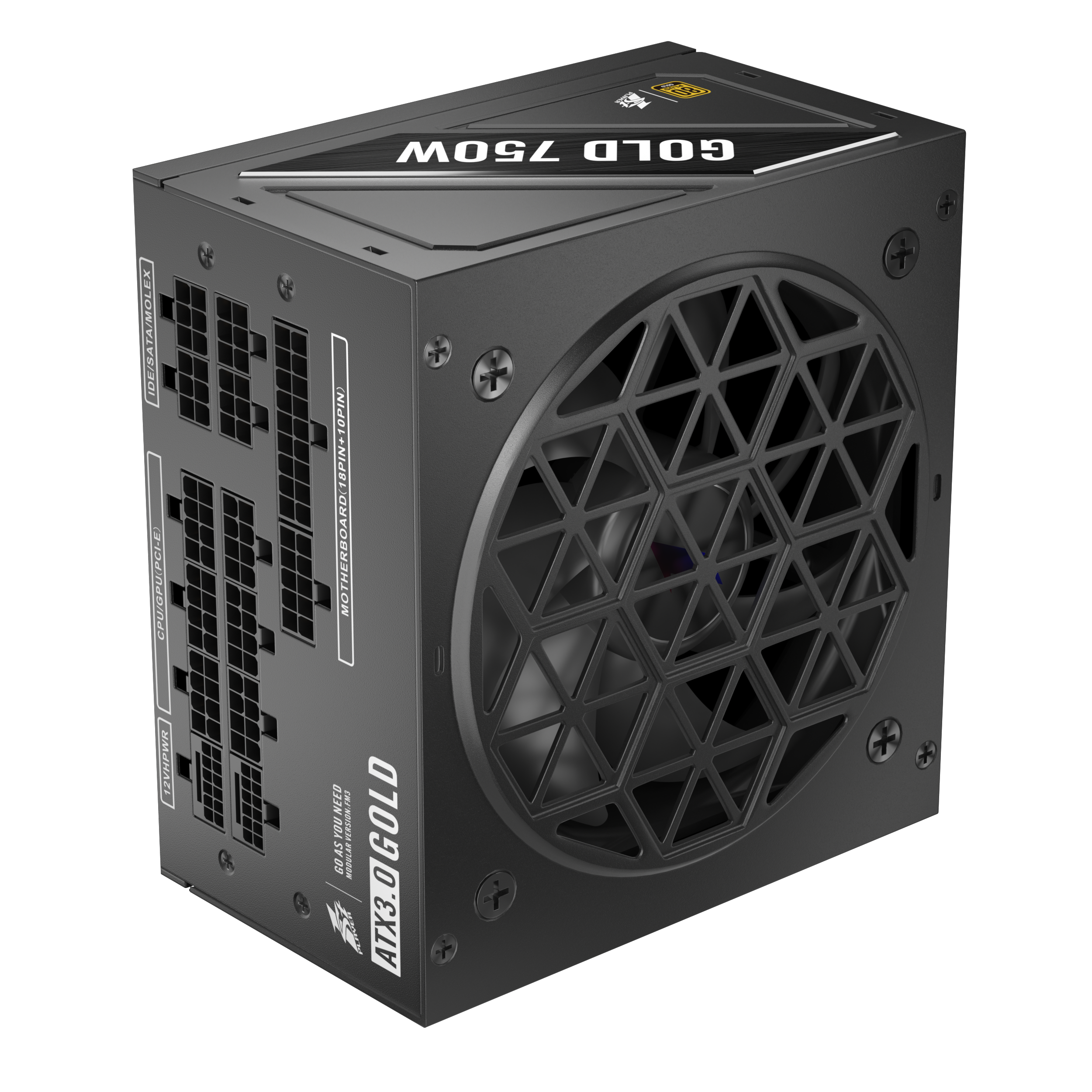 1ST PLAYER NDGP 750W Black Power Supply, 80 Plus Gold Full Modular, ATX 3.0 Ready Dual PCIE 5.0